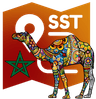 Sahara Stars Tours Logo